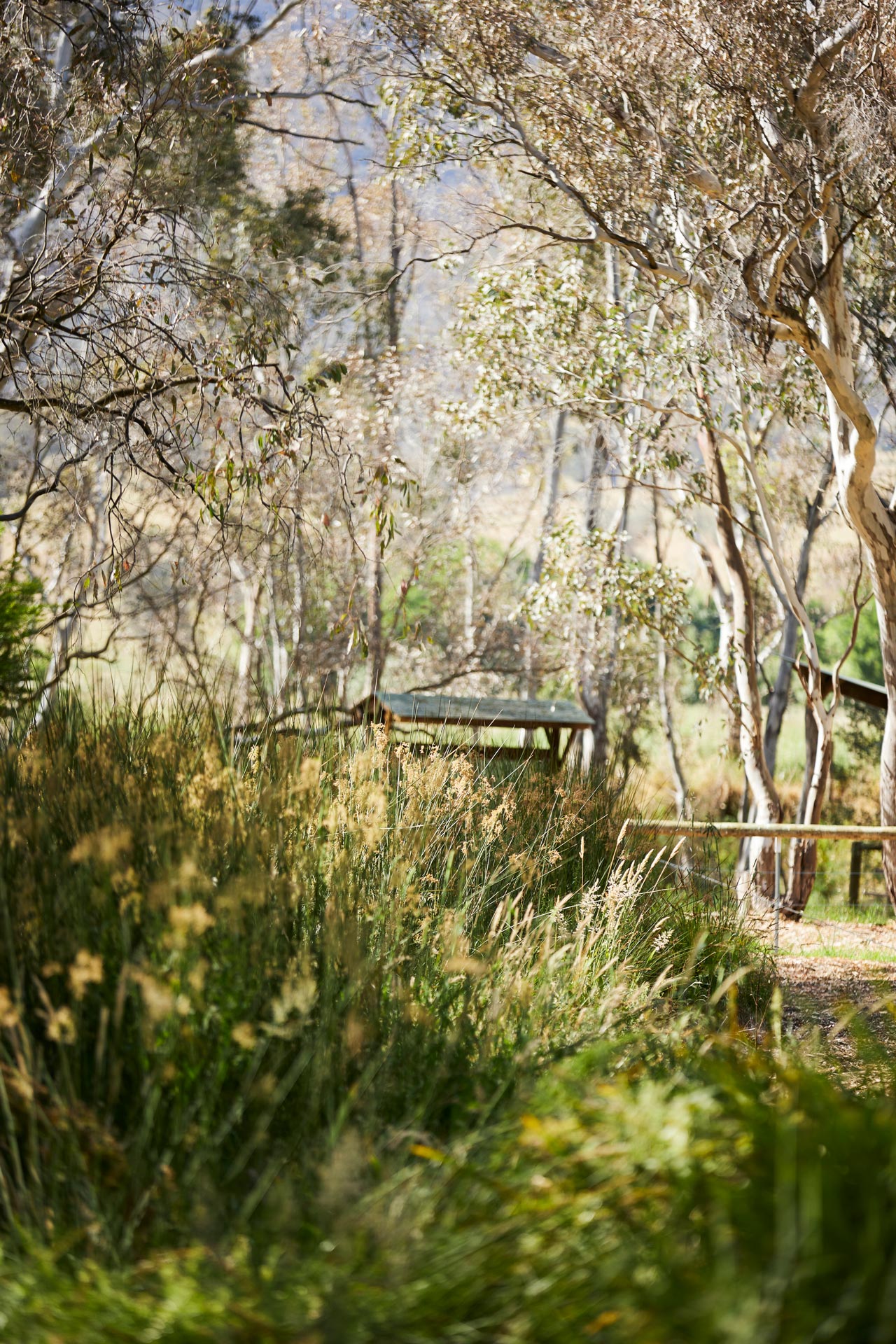 Lodge Lodge Tallarook Arboretum Info Lodge Lodge Tallarook Arboretum Info